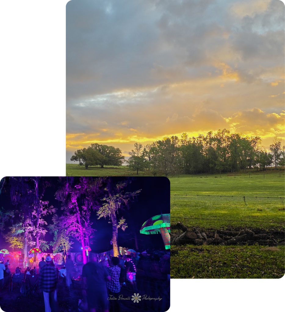 About the Ranch
